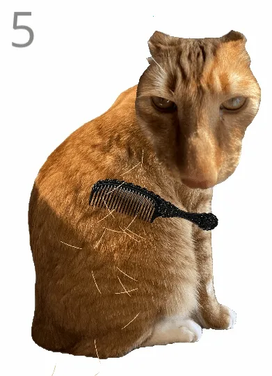 ��è��ë��׿���ֻ���