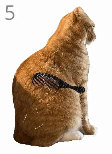 ��è��ë��׿���ֻ���