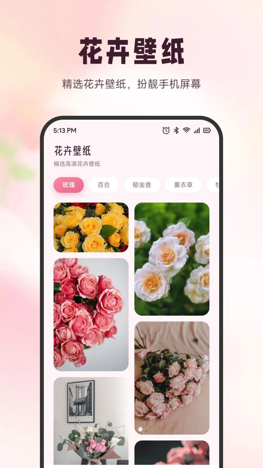 ѩ�ڻ���2026���°汾v1.1 ��׿��