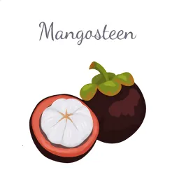 山竹社区2026最新版本v3.6.1 手机版