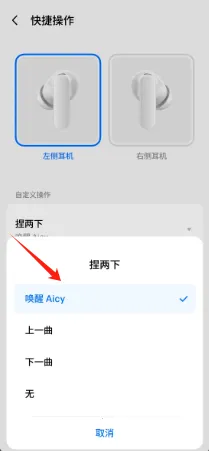 �������(������������)