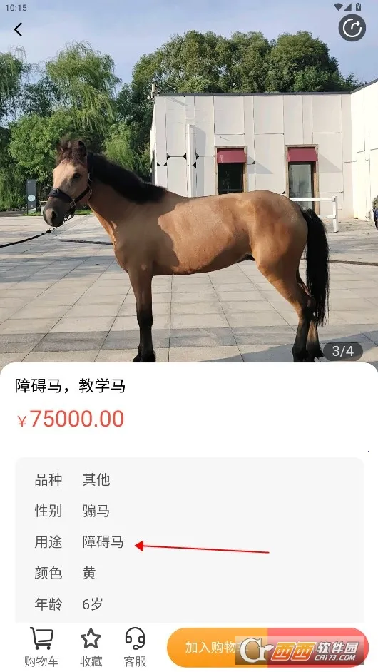 马统2026最新版本