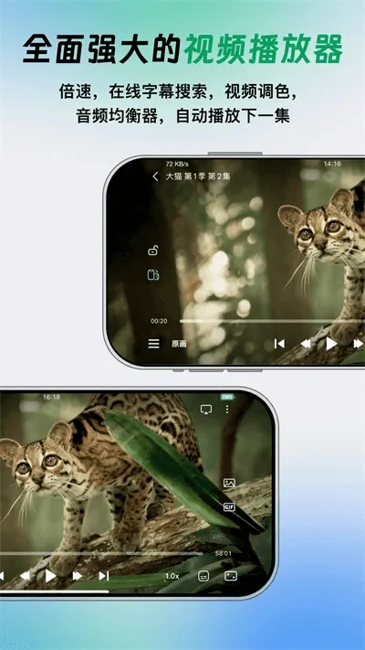 VidHub(视频播放软件) VidHub(视频播放软件)