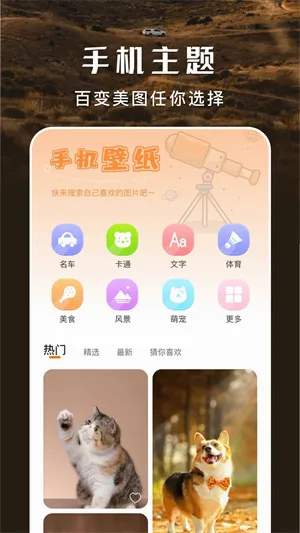 主题盒2026最新版本