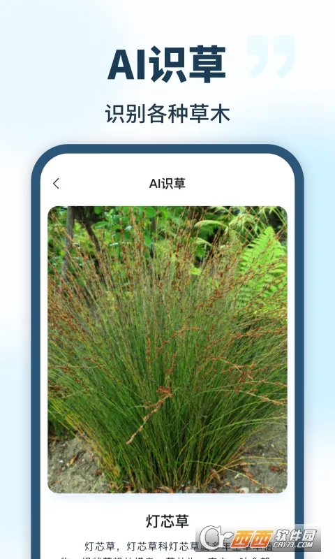 AI��������(�๦��AI����)v1.0.0 �ֻ���