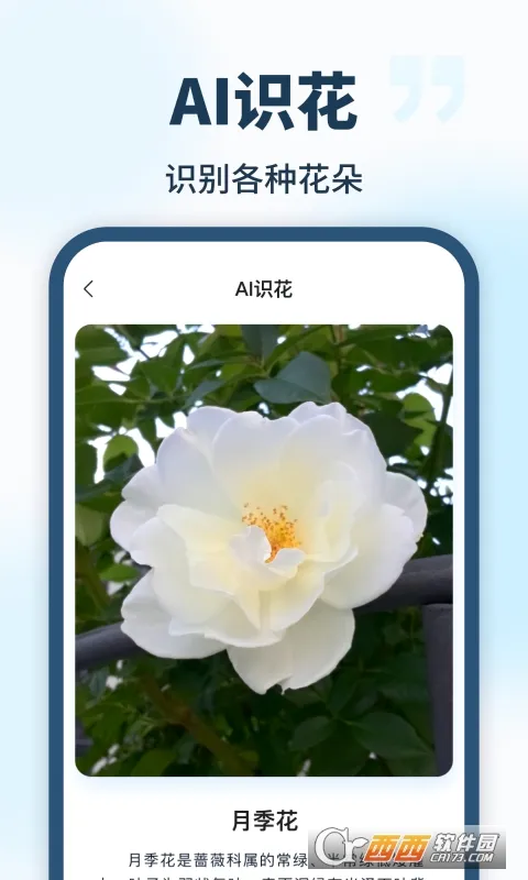 AI��������(�๦��AI����)v1.0.0 �ֻ���