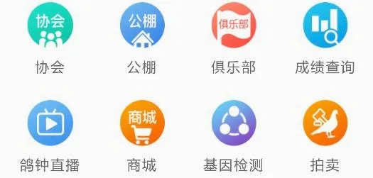 中国信鸽协会(信鸽信息平台) 中国信鸽协会(信鸽信息平台)