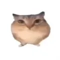 �ͰͲ�һ����(���������Ϸ)v1.0 �ٷ����� 