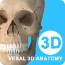 ά����3D����(����ѧϰƽ̨)v7.0.1 �ٷ�����