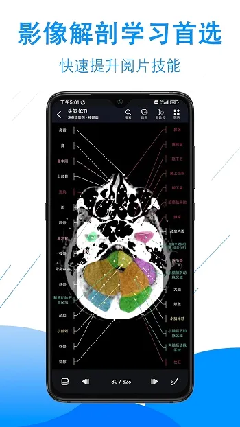 影像解剖图谱最新手机版 影像解剖图谱最新手机版