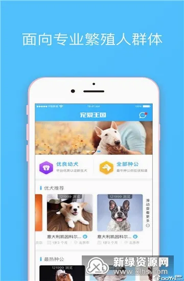 宠爱王国(宠物服务平台) 宠爱王国(宠物服务平台)