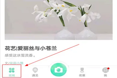 形色2026最新版本 形色2026最新版本