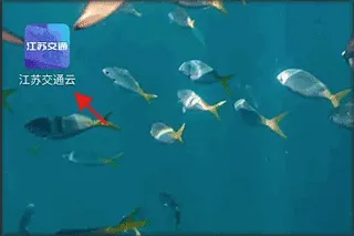 江苏交通云2026官方最新版本 江苏交通云2026官方最新版本