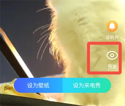 透明来电秀(个性来电设置) 透明来电秀(个性来电设置)