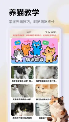 ����è��app2026�ٷ����°汾v1.3 �ֻ���