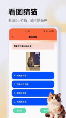 ����è��app2026�ٷ����°汾v1.3 �ֻ���
