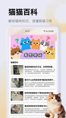 ����è��app2026�ٷ����°汾v1.3 �ֻ���