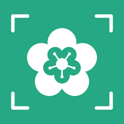 AI����ʶ�������ֻ���v1.0.4 ��׿�� 