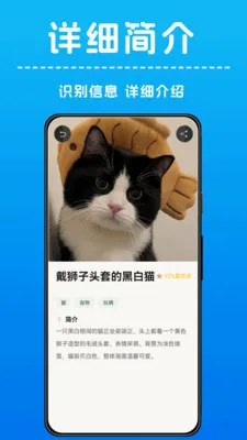 AI����ʶ�������ֻ���v1.0.4 ��׿��