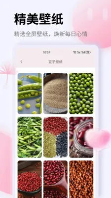 K��2026�ٷ����°汾v1.0.0 ��׿��