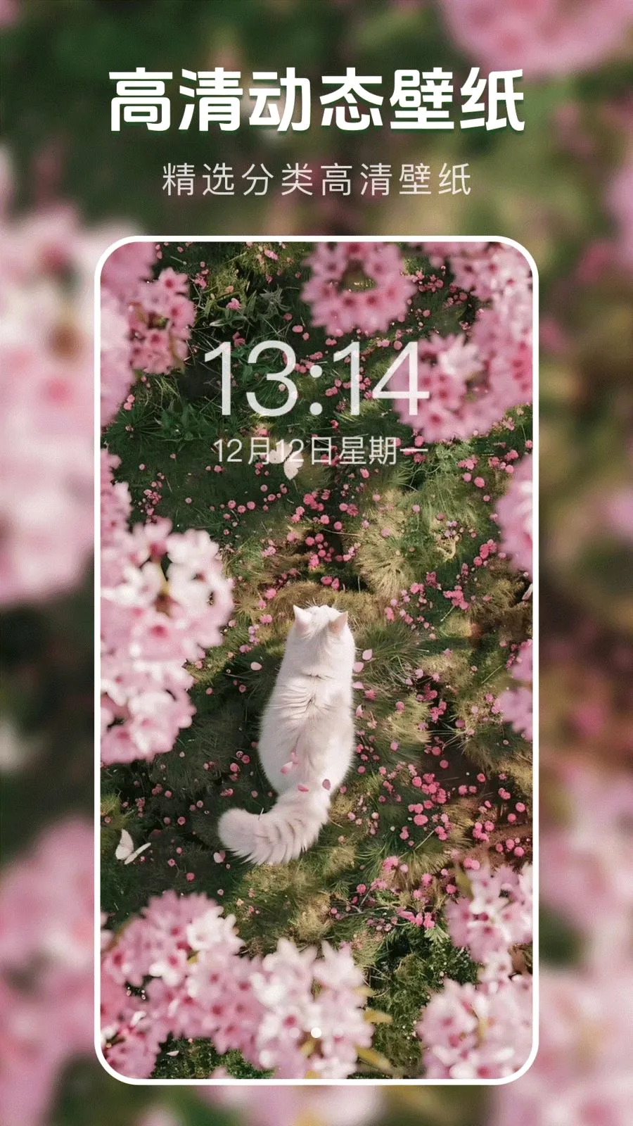 ��̬�����ֽ��(�ֻ���ֽ����)v1.0.0 ��׿��