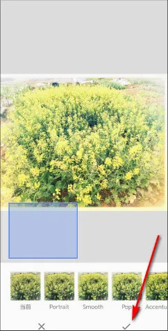 BetterSeed最新手机版
