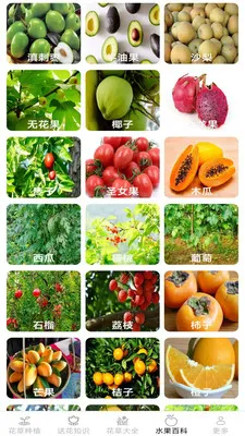 �ͷ׻��������ֻ���v2.7.2.3 �ٷ�����