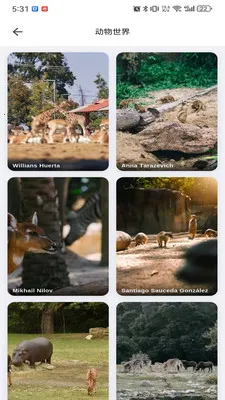 musabay(ά���ֽӰ��app)v1.1.3 ��Ѱ�