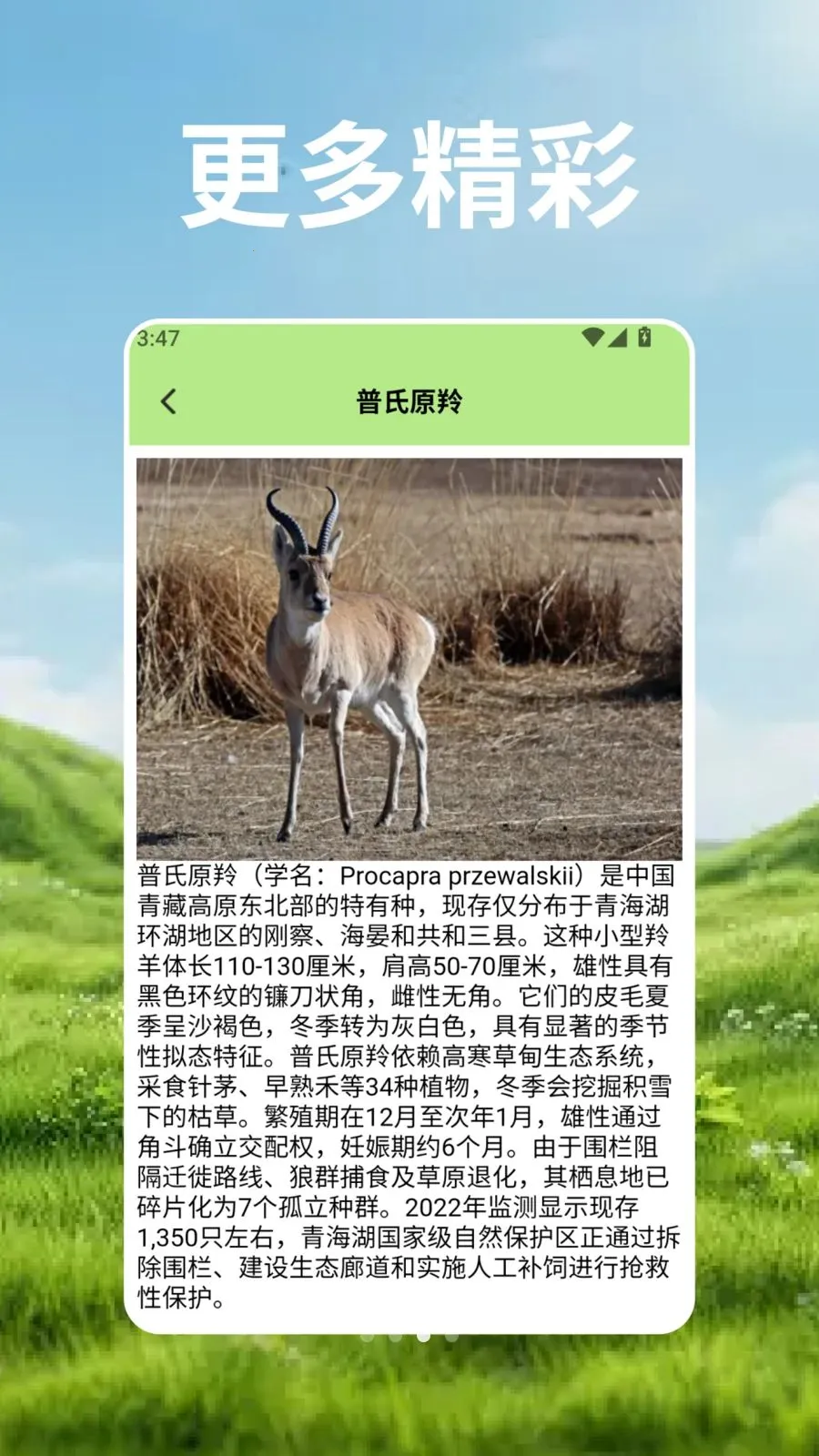 ��Ⱥ�Ŀ�ѧ�ܰ�׿���ֻ���v2.3 ��׿��