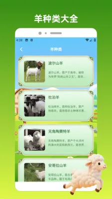 ����С��(����֪ʶӦ��)v1.3 ��׿��