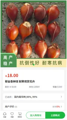 �״���ҵ�����ֻ���v1.0.2 �ٷ�����